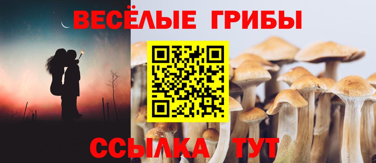 Удомля  Галлюциногенные грибы Psilocybine cubensis  Вход с VPN 
